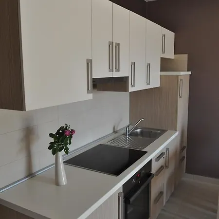 Apartament Braje